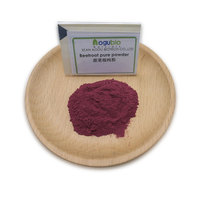 Poudre de racine de betterave rouge naturelle en gros, poudre de betterave en petits emballages, soluble dans l'eau, poudre de fruits et légumes pour boissons et pâtisseries