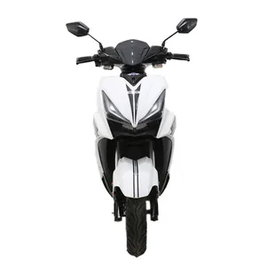 Various speed 1000W 1500W 2000W 3000W china electric moto