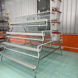 Yüksek Kaliteli 96-160 Tavuk Kapasiteli Katmanlı Tavuk Kafesi Çiftlik Tasarımı Tavuk Kümesi Kümes Hayvanları Batarya Çiftliği Yumurtlama Tipi Tavuk Kafesi Satılık - Product Image 2