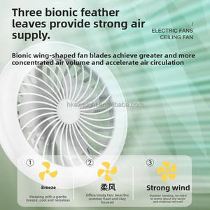 Portable Cross-border Camping LED <b>Fan</b> Light Outdoor Rechargeable Dual-use <b>Stand</b> Hanging Tent & Desktop Lighting - Product Image 4