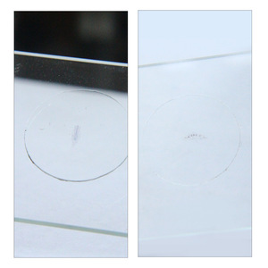การสอนตัวอย่างที่มีโครงสร้างที่ชัดเจนรวมถึงส่วนของ * Polygonum aviculare *, antheridium และ archegonium. - Product Image 5