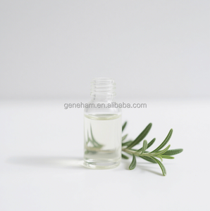 100% reines Premium-Bio-Rosmarin-ätherisches Öl Kalt gepresste Dosen-und Trommel verpackung in Lebensmittel qualität für Haarwuchs und Kopfhaut pflege - Product Image 3