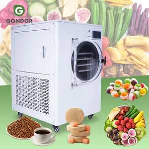 Liofilizador Comercial, Secador por Congelación al Vacío, Precio de Liofilizador, Máquina de Liofilización - Product Image 1