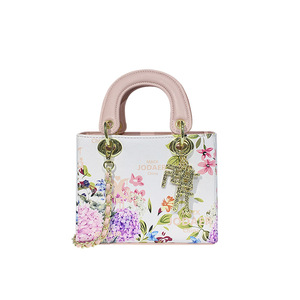 Sacs pour femmes en gros directement de l'usine, sacs à main de niche style Princesse Diana, nouvelle collection 2026 haut de gamme, bandoulière chaîne avec fermeture éclair - Product Image 1