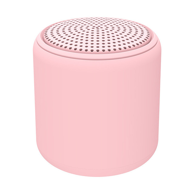 Mini Bluetooth Column Metal Bass Box IP67 Waterproof Loudspeaker Portable Speakers with Travel Case Wireless Speaker