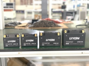 Batería de Litio para Motocicletas, Nuevo Tipo, Larga Duración, 12.8v, Venta Directa de Fábrica - Product Image 2