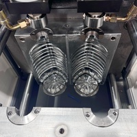 Machine de soufflage de bouteilles en PET semi-automatique à 2 cavités de 5L Machine de fabrication de bouteilles d'huile adaptée aux bouteilles en plastique de 3L 5L 7L 10L