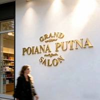 Nouvelle technologie de placage sous vide, PVC, lettres sphériques en relief 3D, personnalisation de logo publicitaire