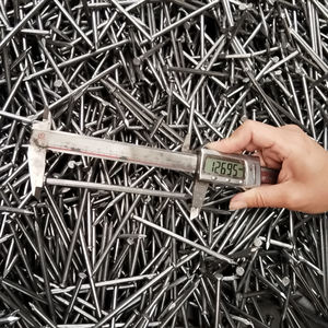Parlak 40D tel çivi Clavo 5 inç çim çivi - Product Image 3