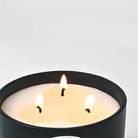 Bougie parfumée à 3 mèches 300g 200g, marque privée, parfum d'ambiance, aromathérapie, coffret cadeau, décoration de chambre, vente en gros