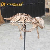 MY DINO AS-049 Squelette d'oiseau Dodo Animal préhistorique éducatif
