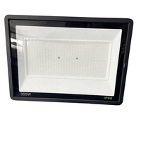 Projecteur LED extérieur IP65 IP66 10W 20W 30W 50W 2000K 2500K blanc chaud CCT