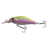 Leurre artificiel crankbait minnow 7cm 7g en plastique dur, caoutchouc, métal et ABS pour bar, poisson-chat et saumon - OEM DW-36