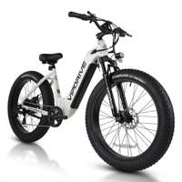 Batterie Lithium 48V 15AH 750W pour Vélo Électrique Tout-Terrain à Pneus Larges pour Adultes, Écran LCD Multi-Modes, 60 Sports, Manuel – Stock USA