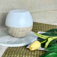 Diffuseur d'arômes 100 ml à brume froide, écologique, 7 lumières colorées, de table, avec diffuseur ultrasonique d'huiles essentielles
