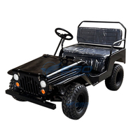 Willys Jeep 250cc Dune Buggy pour adultes, véhicule tout-terrain, buggy électrique, Willys Jeep pour adultes, mini Willys Jeep Dune Buggy