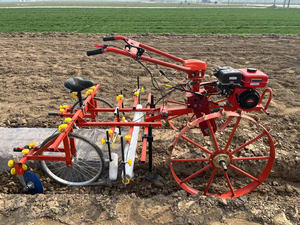 Machine à couvrir le sol en film plastique <span class=keywords><strong>pour</strong></span> l'agriculture / Prix de gros <span class=keywords><strong>pour</strong></span> la plantation de graines et la culture, machine à poser du paillis plastique - Product Image 6