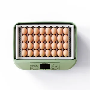 Hhd Polystyrene Egg Incubator Tanzania Incubator Machine Professional Automatic Incubator Suppliers In China