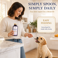 Sirop de Soutien Immunitaire pour Chiens Astragale Lactoferrine Colostrum Facile à Administer Bien-être Quotidien Naturel Premium OEM