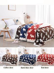 Venta al por mayor de Manta Sherpa de doble capa con patrón de dibujos animados florales 100% poliéster manta térmica cálida para el invierno de China - Product Image 6