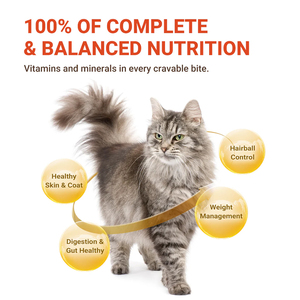 JJANGx3 Nourriture humide au maquereau de qualité supérieure pour chats 70g & 400g Repas complets et équilibrés Choix parfait - Product Image 5