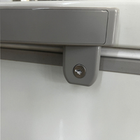 Congélateur commercial réfrigéré de grande capacité de-45 °C 1000L Congélateur horizontal de coffre profond de porte de mousse
