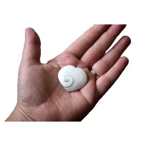 Guérison ancienne coquille de Shiva pierre de coeur polie cristal marin à haute vibration pour déesse énergie amour profond et cadeau spirituel - Product Image 1