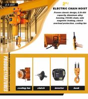 Palans électriques à chaîne HKDM05-02, capacité de 100 lb, 220V-480V, câble en acier avec hauteur de levage de 20 m et vitesse de levage de 2,7 m/min