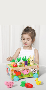 Trieur de forme en bois voiture carotte récolte jeu forme tri <span class=keywords><strong>ferme</strong></span> blocs de fruits jouets d'apprentissage - Product Image 5