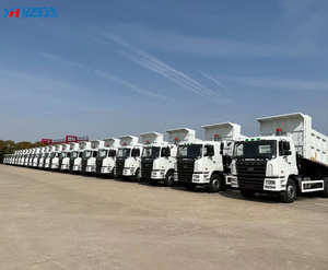 Venta Caliente de Camiones Volquete CAMC, Camión Volquete Clásico 6x4 en el Medio Oriente - Product Image 5