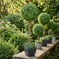 Arbres artificiels en buis, fausse herbe, bonsaï, topiaire en spirale, arbre artificiel, plante en plastique, luxe moderne, 60 cm, mariage, Thanksgiving