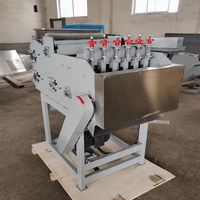 Modèle 60, 6 lames, 150 kg/h, machine à décortiquer les noix de cajou crues automatique commerciale, machine à décortiquer les noix de cajou