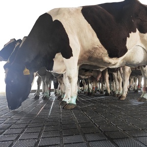 家畜機器農業用ゴムマット牛/馬/豚/牛/ヤギストール/安定/キュービクル用 - Product Image 2