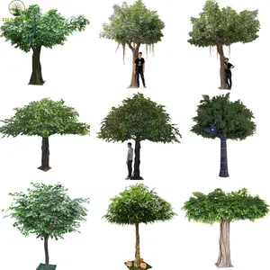 Customized Indoor Large Trees Huge Ficus Tree For Shop Decoration
