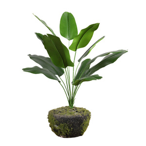 Planta Artificial de Hoja de Plátano Xinxier para Interiores/Exteriores, 60 cm, Decoración de Plástico y Tela con Maceta para Hogar u Oficina (Larga Duración) - Product Image 5