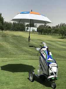 3륜 알루미늄 합금 인증 전기 리튬 원격 제어 골프 트롤리 (24V) - Product Image 1