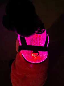 Roupas para cães de estimação em fibra óptica LED luminosa para uso em todas as estações disponíveis - Product Image 6