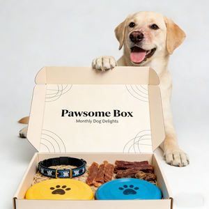 Boîte d'abonnement mensuelle pour animaux de compagnie avec logo personnalisé, pour friandises, jouets et accessoires haut de gamme pour toutes les races. - Product Image 4
