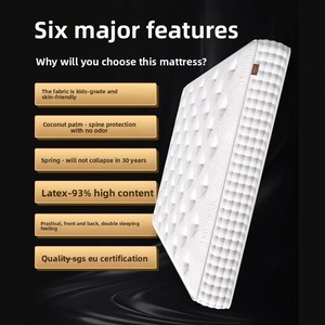 Năm Sao Khách Sạn Chất Lượng Thân Thiện Với Môi Nâu Nệm Cao Su Nhà Sử Dụng Bộ Nhớ Bọt Mùa Xuân Giường Tính Năng Làm Mát Dệt Kim Vải Bìa - Product Image 4