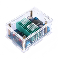 Module d'amplificateur numérique mono Hi-Fi IRS2092S 250W, carte d'amplificateur numérique, ensemble complet avec boîtier