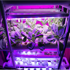 Systèmes agricoles verticaux d'intérieur hydroponiques intelligents à lumière LED pour la maison, le bureau et le restaurant-Automatique avec composants centraux de pompe à moteur - Product Image 2