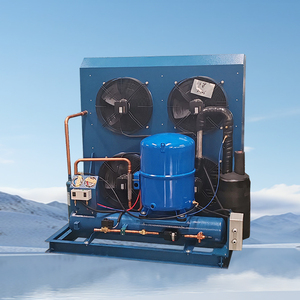 Unités de condensation à vis de 3 CV, 5 CV, 10 CV, 12 CV, 30 CV, 50 CV, type 5 tonnes, avec serpentin de condenseur et unité de traitement d'air pour compresseur de chambre froide - Product Image 1