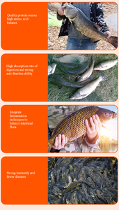 การเพาะเลี้ยงสัตว์น้ำ premix 4% <span class=keywords><strong>สระ</strong></span>ว่ายน้ำ<span class=keywords><strong>ปลา</strong></span>อาหารเสริมสารเติมแต่งอาหาร - Product Image 4