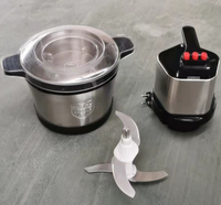 Mini Robot Culinaire Électrique Portable Multifonctionnel en Acier Inoxydable, Capacité 6L, Hachoir à Viande, Coupe-Légumes, Râpe pour