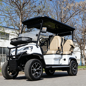 Voiturette de <span class=keywords><strong>golf</strong></span> électrique de luxe moderne 3-4 places avec moteur AC 48V, <span class=keywords><strong>prix</strong></span> de gros, vitesse maximale 30-40 km/h, certifiée CE - Product Image 3