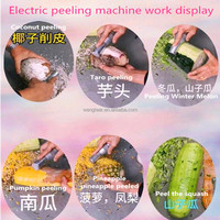 Retail Farm Restaurants Hot Sale Commerciële 220V 110V Voedselverwerkingsfabriek Groente Fruit Bruine Schil Kokosnoot Schilmachine