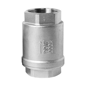 Clapet anti-retour Yuhuan DN25 50 en acier inoxydable, type vertical, pour pompes à eau et conduites - Product Image 1