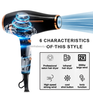 Secador de Pelo Profesional de 2200W con Diseño Todo en Uno, Estilo Rápido, Accesorios Difusores Especializados para Todo Tipo de Cabello - Product Image 2