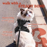 Harnais Réfléchissant Ajustable et Respirant pour Chat avec Décoration Écharpe, en Nylon Doux et Maille, Petite Taille pour la Marche et l'Entraînement en Extérieur