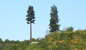 <span class=keywords><strong>Tour</strong></span> mobile en treillis de 25m 30m 40m <span class=keywords><strong>Tour</strong></span> tubulaire pour télécommunications Pine Tree Tower - Product Image 2
